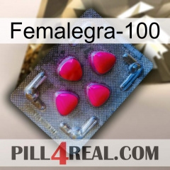 Femalegra-100 13